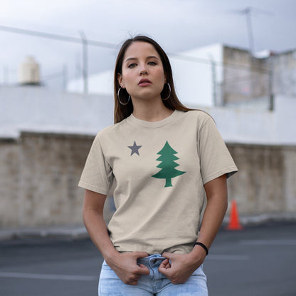 Original Maine 1901 Flag t-shirt